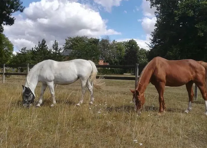 Aile Chateau Du Bois Des Faulx Villa